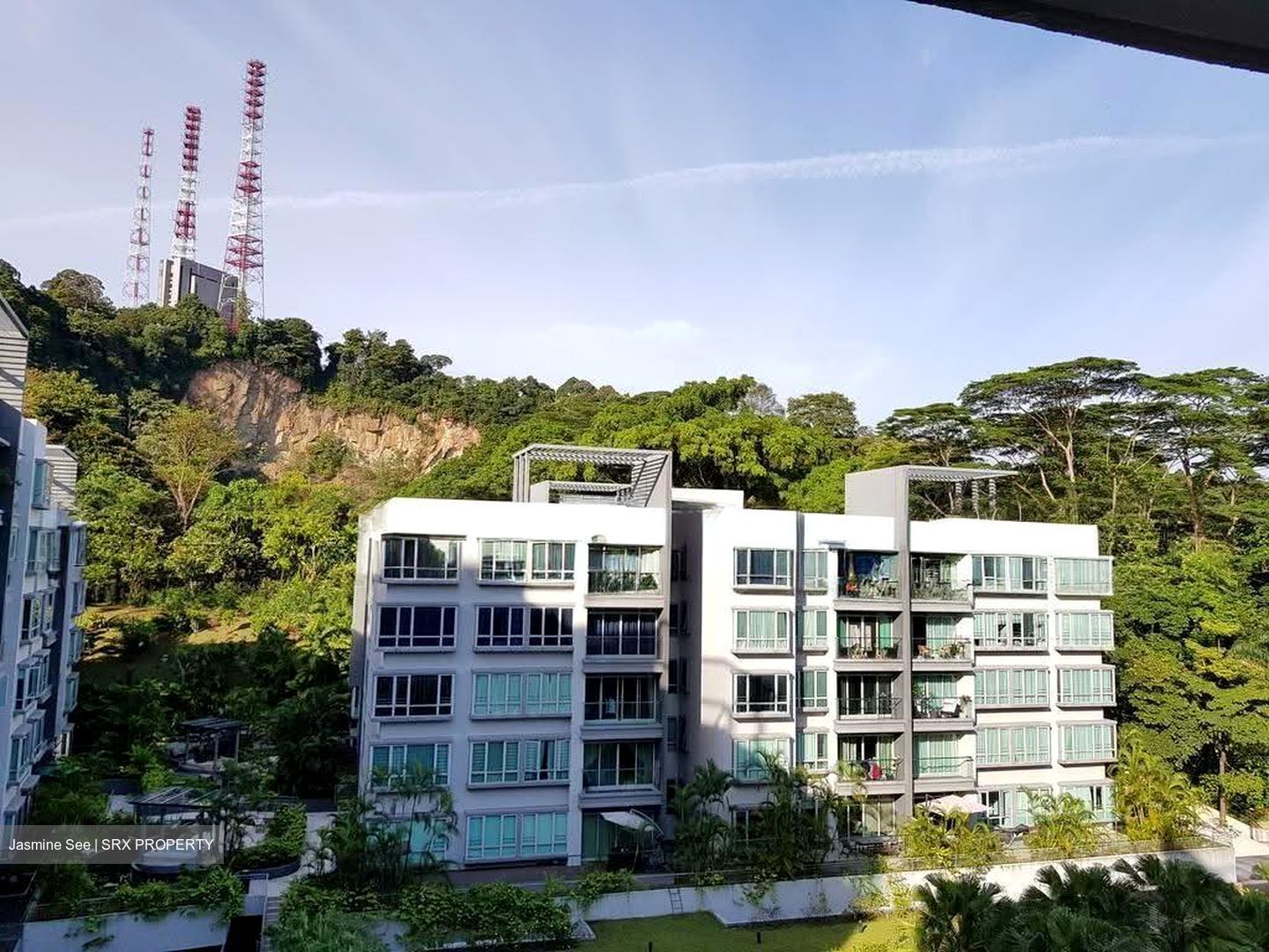 The Raintree (D21), Condominium #632847981